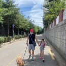 고척원동물의료센터 | 개봉동 고척동 동물병원 고척 원동물의료센터