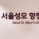 서울성모항정유외과의원 이미지