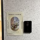 해운대 오션프라임 | 부산 해운대 부케 말리기 '소소에코' 내돈내산 방문 후기