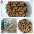 생명살림연대협동조합 이미지