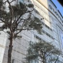 롯데명품세탁 | 롯데백화점 에메랄드 라운지 롯데본점 위치 이용후기