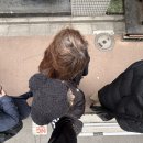 와뜨래요 이미지