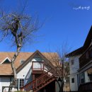 고운향기펜션 이미지