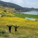 새하얀운동화빨래방 이미지