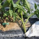 기중농장 이미지