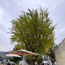 승인농장 | 남양주 북한강 뷰 대형 카페 “아유 스페이스” 드라이브 코스 추천