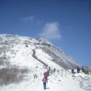 2011년 1월 16일 일요일 소백산(1440m) 눈꽃산행 이미지