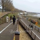 은행나무길 대여소 이미지