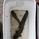 황룡리 이미지