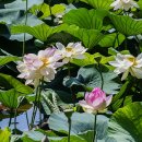 봉담호수공원 이미지