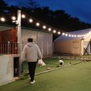 [청도 신난다 애견 글램핑] 대구 근교 애견동반 캠핑장