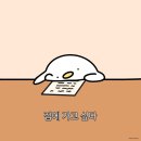 서구-01-79 | [25)08/01 ~08/03] 챔필직관겸 광주여행 / 광주 로컬 맛집