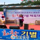 결성초등학교 충남신문