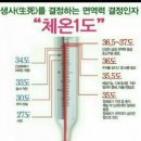 힐스템 주열테라피 이미지