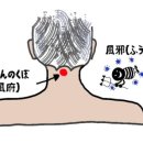 목구멍 상태가 안 좋은 것을 치료했더니, 완고한 어깨 결림이 사라졌다！ 이미지