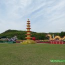 兄弟峰(형제봉) 東大寺(동대사)경내의 一만五천 奉祝燈(봉축등) ＜대구광역시 수성구＞ 17/04/21 이미지