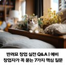 묘성급호텔 | 반려묘 창업 실전 Q&amp;A | 예비 창업자가 꼭 묻는 7가지 핵심 질문