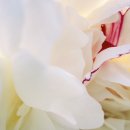 명진에너지 이미지