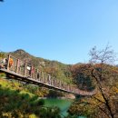 옥순봉길 이미지