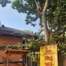 대청농원 이미지