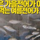 전해지는노래 이미지