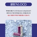 맥스 송도