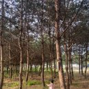 춘천 세계 주류마켓 방문 후기｜가족 나들이, 데이트 코스로도 강력 추천! 🍷🌿