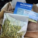 고산목장 | 대관령 삼양라운드힐 삼양목장 양떼목장 12월 겨울 설경, 입장료, 동물체험장, 기념품샵, 목장카페...