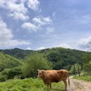지축농장 이미지