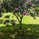 신행농장 | 신행 6일차 | 달랏 마지막 날🥲