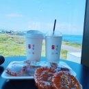 [ 제주여행 ] 드디어 서울에서도 못먹던 이영자님 약과 영접! 약과 맛집! [ 장인더 ]