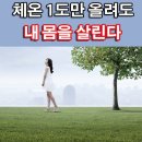 [건강정보 정보]체온(體溫) 1도 낮아지면 면역력(免疫力) 30% 떨어져 이미지