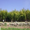 대한목장 이미지