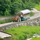 진원반디길마을 영농조합법인 이미지