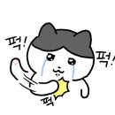 나혜야고기먹자 이미지