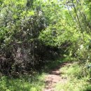 제주 셋알오름 일제 고사포진지 이미지