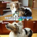 두식농장 이미지