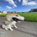 윤PC방(인-477호) | 날 좋아한다면서 순대 먹는 나는 싫어하잖아!