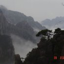 무릉도원 - 양산시 어영길 170 | 무릉도원