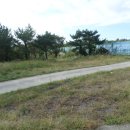 색달동-22 이미지