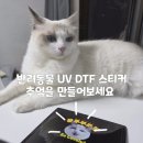 개린이세상 | 반려동물 UV DTF 스티커 사용 후기 꼰두부고양이 영원히 함께하자!