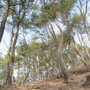 모악산마실길 2코스 이미지