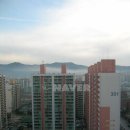 신나라부동산공인중개사사무소 네이버블로그