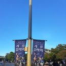 경춘선숲길 가을음악회 | 2024 노원구 경춘선숲길 가을음악회 박기영 루시 윤도현 밴드 후기