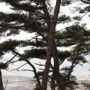 안산-대부-대부-4 이미지