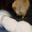 하마 노래연습장 이미지