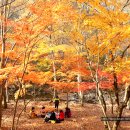 호남여관 이미지