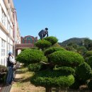 송지중학교 이미지