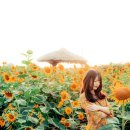 민들레 행정사 이미지