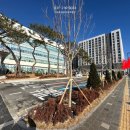채우리약국 네이버블로그